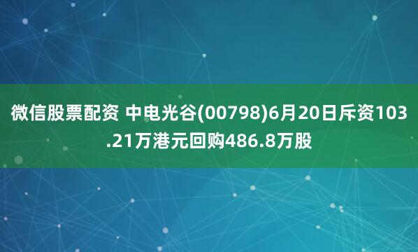 微信股票配资 中电光谷(00798)6月20日斥资103.21万港元回购486.8万股